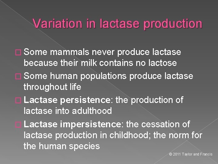 Variation in lactase production � Some mammals never produce lactase because their milk contains
