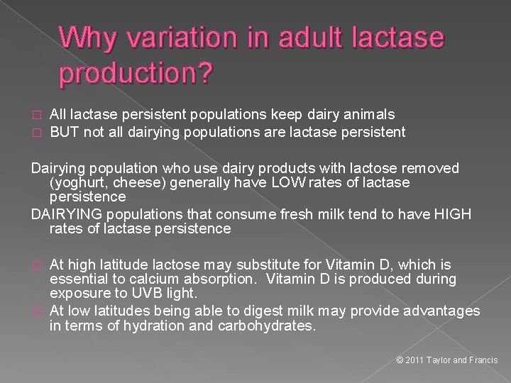 Why variation in adult lactase production? � � All lactase persistent populations keep dairy