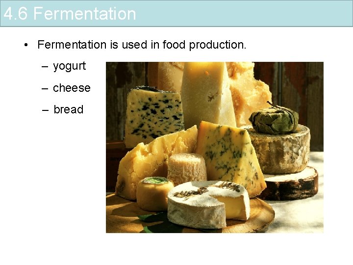 4. 6 Fermentation • Fermentation is used in food production. – yogurt – cheese