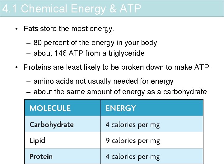 4. 1 Chemical Energy & ATP • Fats store the most energy. – 80