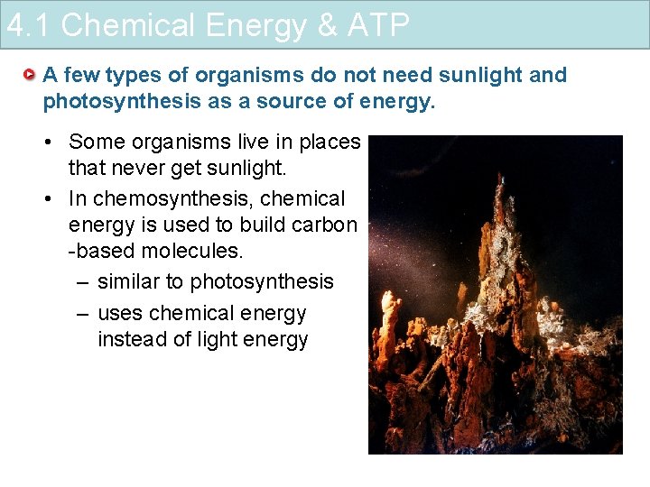 4. 1 Chemical Energy & ATP A few types of organisms do not need