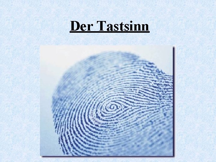 Der Tastsinn 