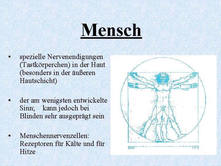 Mensch • spezielle Nervenendigungen (Tastkörperchen) in der Haut (besonders in der äußeren Hautschicht) •