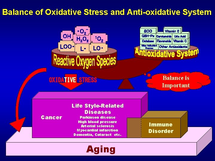 Balance of Oxidative Stress and Anti-oxidative System ・O 2 OH H O 1 O Balance of Oxidative Stress and Anti-oxidative System ・O 2 OH H O 1 O