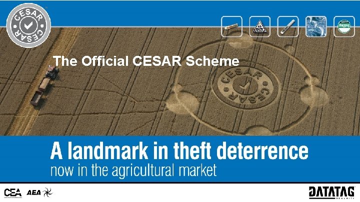 The Official CESAR Scheme 