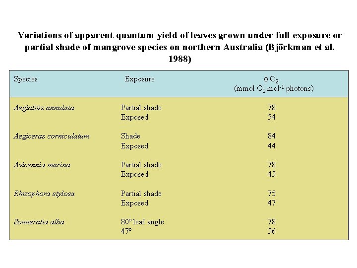 Variations of apparent quantum yield of leaves grown under full exposure or partial shade