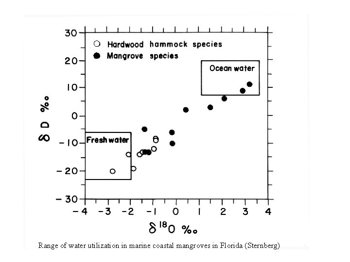 Range of water utilization in marine coastal mangroves in Florida (Sternberg) 