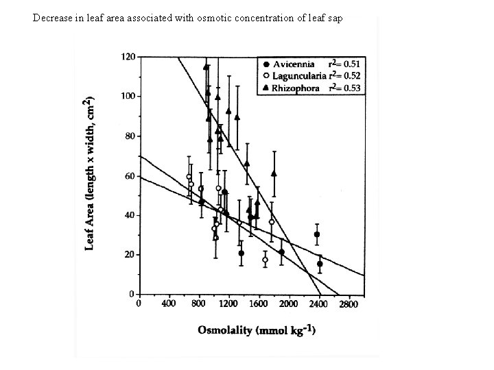 Decrease in leaf area associated with osmotic concentration of leaf sap 