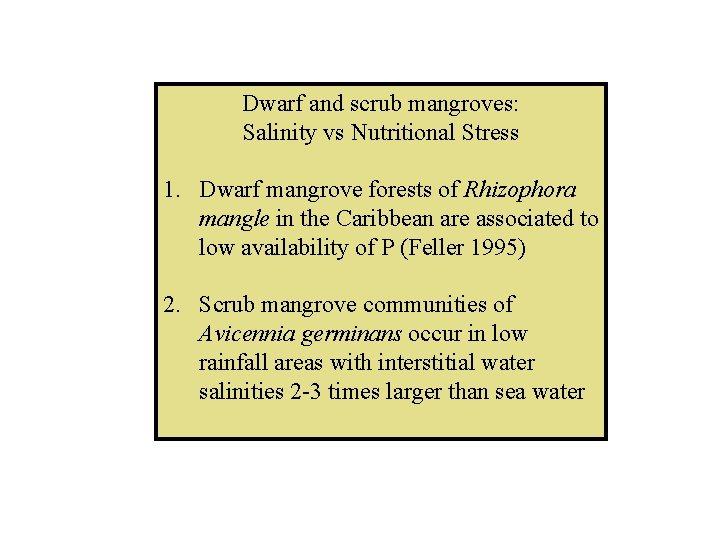 Dwarf and scrub mangroves: Salinity vs Nutritional Stress 1. Dwarf mangrove forests of Rhizophora