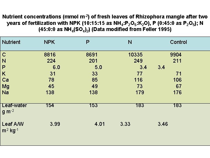 Nutrient concentrations (mmol m-2) of fresh leaves of Rhizophora mangle after two years of