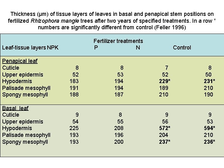 Thickness (µm) of tissue layers of leaves in basal and penapical stem positions on