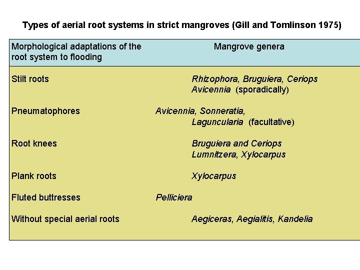 Types of aerial root systems in strict mangroves (Gill and Tomlinson 1975) Morphological adaptations