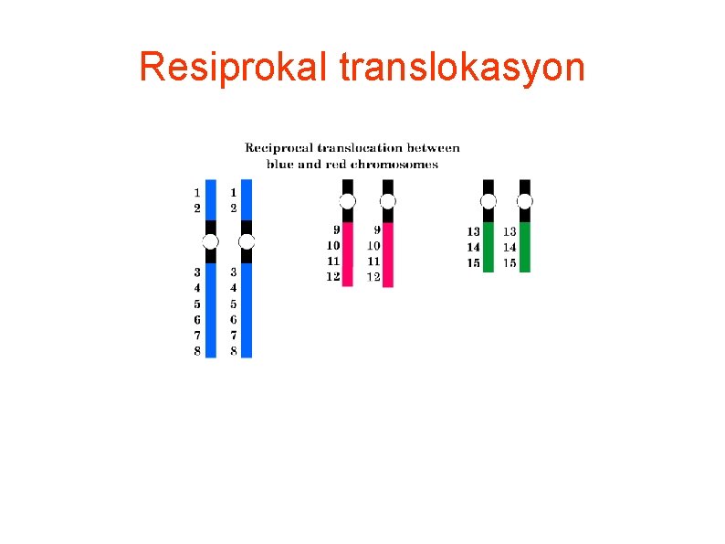 Resiprokal translokasyon 