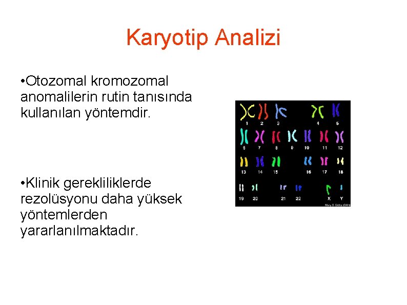Karyotip Analizi • Otozomal kromozomal anomalilerin rutin tanısında kullanılan yöntemdir. • Klinik gerekliliklerde rezolüsyonu