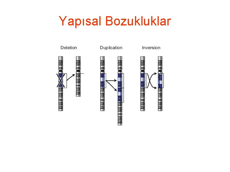 Yapısal Bozukluklar 
