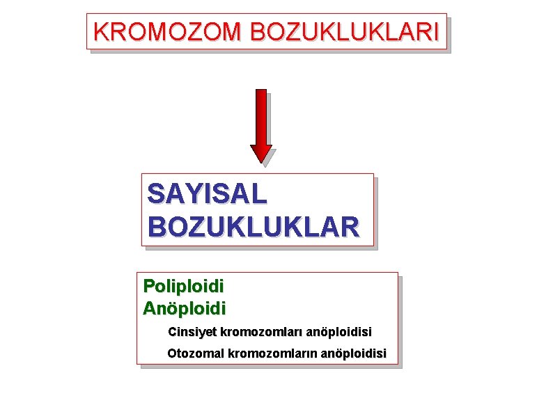 KROMOZOM BOZUKLUKLARI SAYISAL BOZUKLUKLAR Poliploidi Anöploidi Cinsiyet kromozomları anöploidisi Otozomal kromozomların anöploidisi 