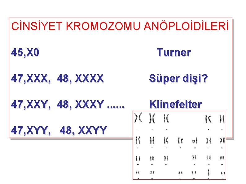 CİNSİYET KROMOZOMU ANÖPLOİDİLERİ 45, X 0 Turner 47, XXX, 48, XXXX Süper dişi? 47,