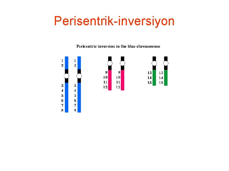 Perisentrik-inversiyon 
