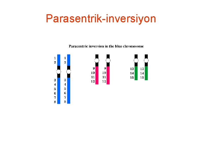 Parasentrik-inversiyon 