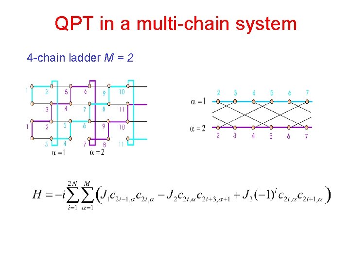 QPT in a multi-chain system 4 -chain ladder M = 2 
