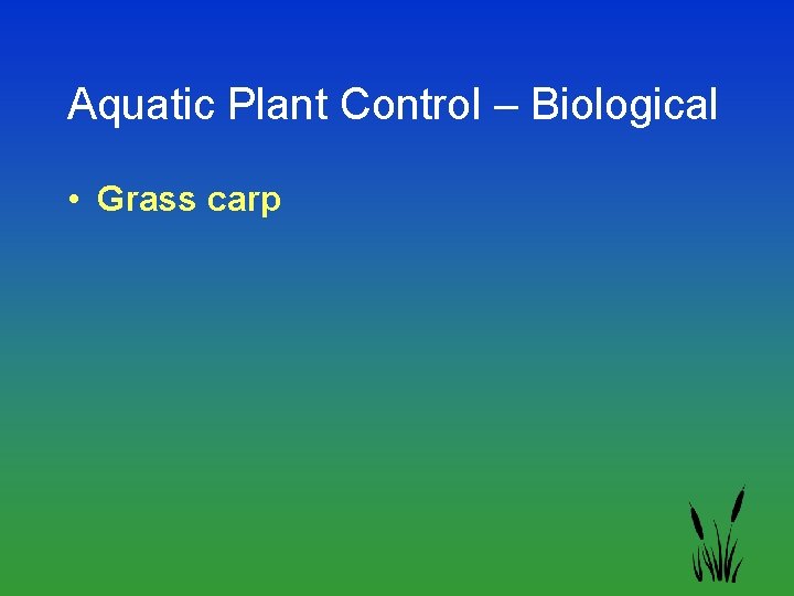 Aquatic Plant Control – Biological • Grass carp 