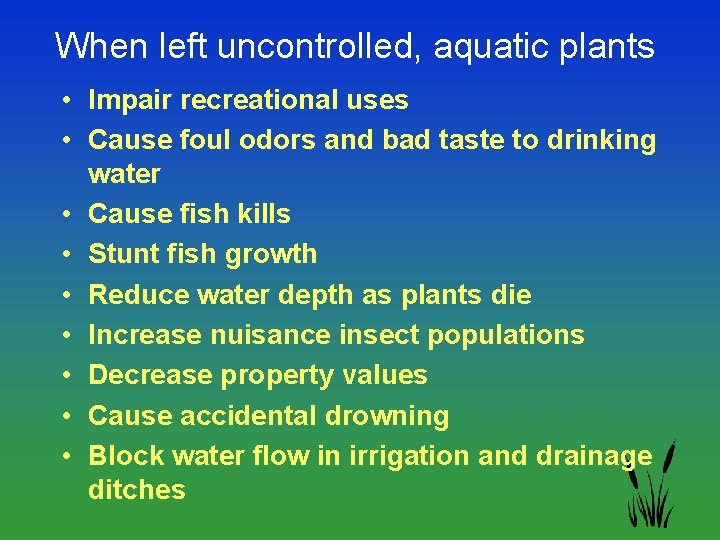 When left uncontrolled, aquatic plants • Impair recreational uses • Cause foul odors and