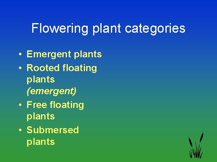 Flowering plant categories • Emergent plants • Rooted floating plants (emergent) • Free floating