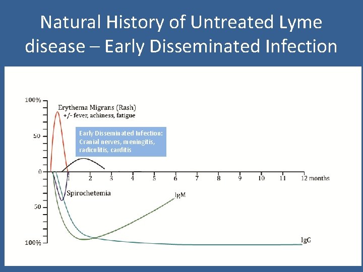 Natural History of Untreated Lyme disease – Early Disseminated Infection: Cranial nerves, meningitis, radiculitis,