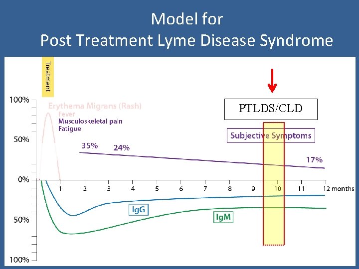 Model for Post Treatment Lyme Disease Syndrome PTLDS/CLD 