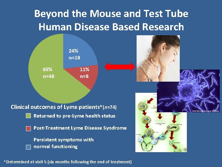 Beyond the Mouse and Test Tube Human Disease Based Research 24% n=18 65% n=48