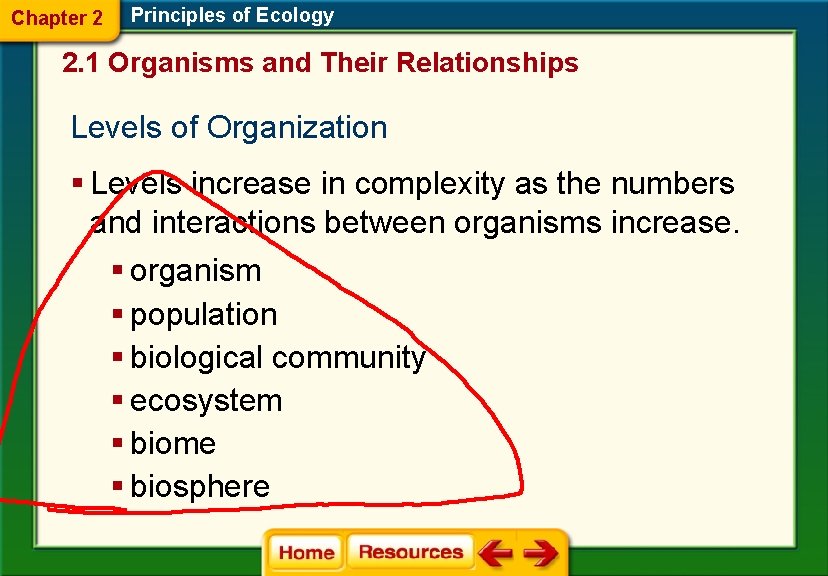 Chapter 2 Principles of Ecology 2. 1 Organisms and Their Relationships Levels of Organization