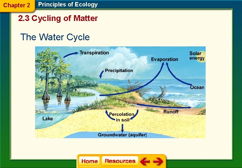 Chapter 2 Principles of Ecology 2. 3 Cycling of Matter The Water Cycle 