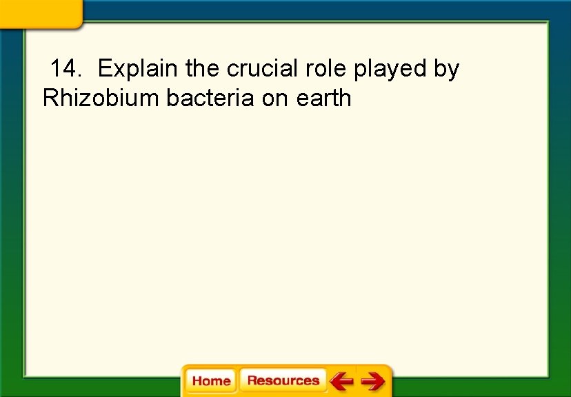 14. Explain the crucial role played by Rhizobium bacteria on earth 