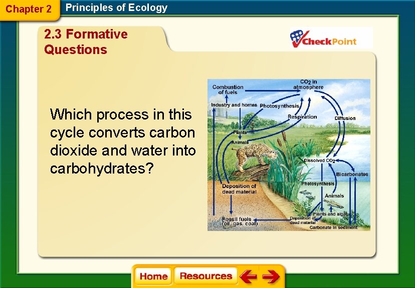 Chapter 2 Principles of Ecology 2. 3 Formative Questions Which process in this cycle