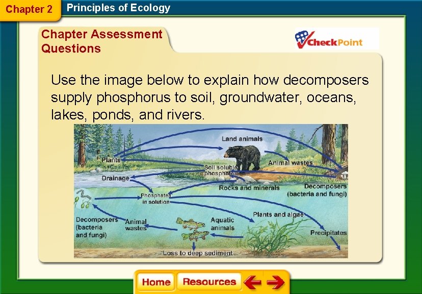 Chapter 2 Principles of Ecology Chapter Assessment Questions Use the image below to explain