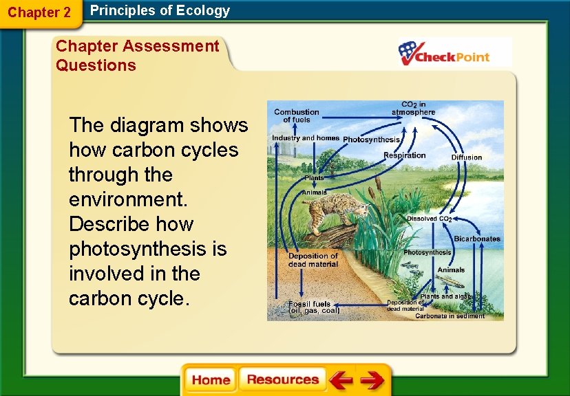 Chapter 2 Principles of Ecology Chapter Assessment Questions The diagram shows how carbon cycles