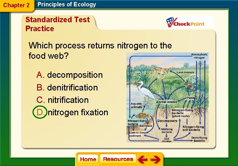 Chapter 2 Principles of Ecology Standardized Test Practice Which process returns nitrogen to the