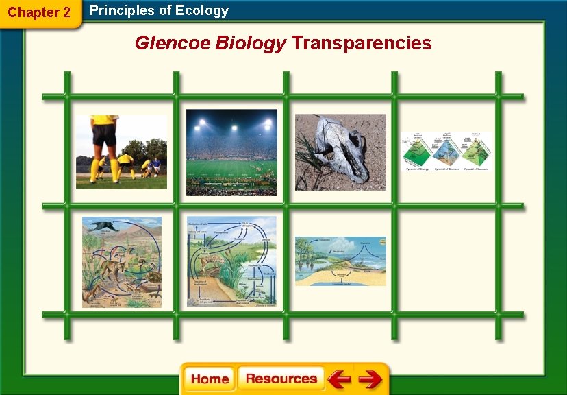 Chapter 2 Principles of Ecology Glencoe Biology Transparencies 