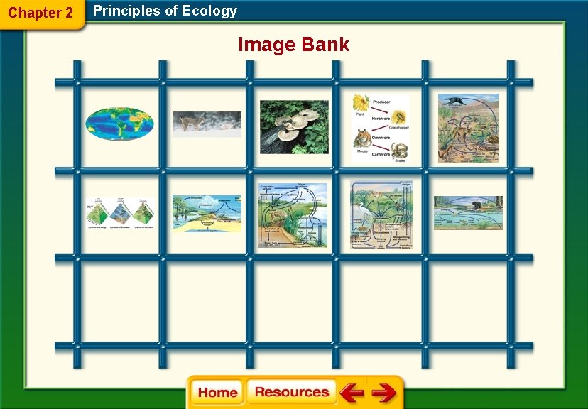 Chapter 2 Principles of Ecology Image Bank 