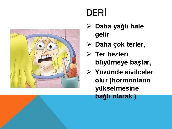 DERİ Ø Daha yağlı hale gelir Ø Daha çok terler, Ø Ter bezleri büyümeye