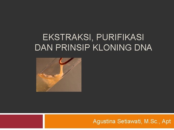 EKSTRAKSI, PURIFIKASI DAN PRINSIP KLONING DNA Agustina Setiawati, M. Sc. , Apt 