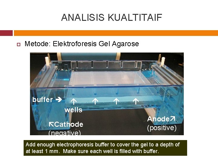 ANALISIS KUALTITAIF Metode: Elektroforesis Gel Agarose buffer wells Cathode (negative) Anode (positive) Add enough