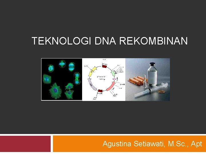 TEKNOLOGI DNA REKOMBINAN Agustina Setiawati, M. Sc. , Apt 