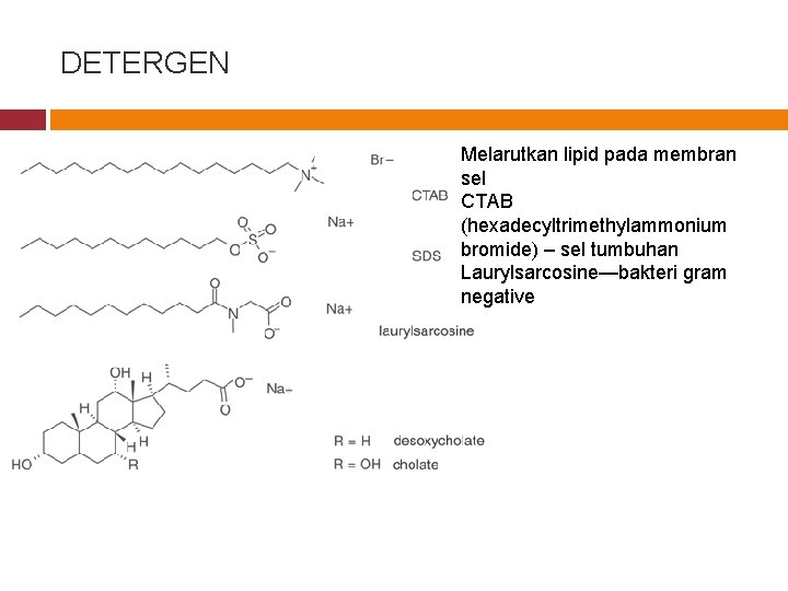 DETERGEN Melarutkan lipid pada membran sel CTAB (hexadecyltrimethylammonium bromide) – sel tumbuhan Laurylsarcosine—bakteri gram