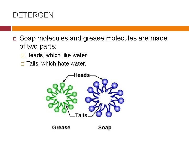 DETERGEN Soap molecules and grease molecules are made of two parts: Heads, which like
