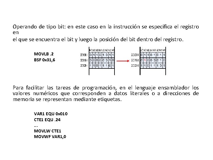 Operando de tipo bit: en este caso en la instrucción se especifica el registro