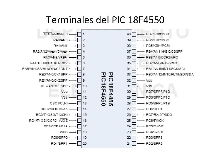 Terminales del PIC 18 F 4550 