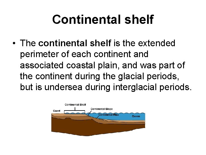 Continental shelf • The continental shelf is the extended perimeter of each continent and