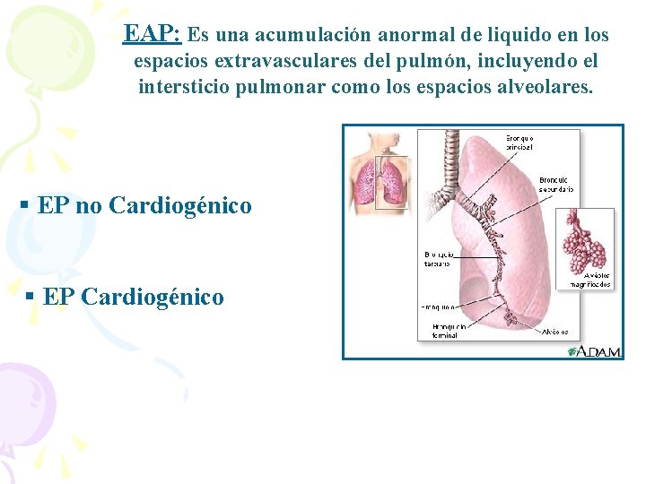 EAP: Es una acumulación anormal de liquido en los espacios extravasculares del pulmón, incluyendo