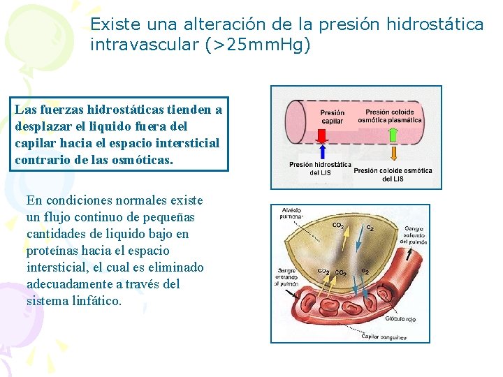 Existe una alteración de la presión hidrostática intravascular (>25 mm. Hg) Las fuerzas hidrostáticas